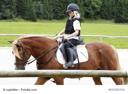 Sicherheitsweste Reiten im Tierschutz-Laden