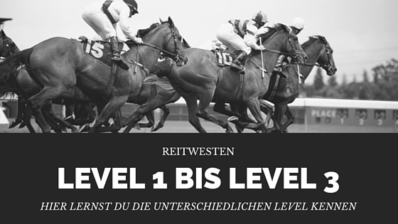 www.sicherheitsweste-reiten.de