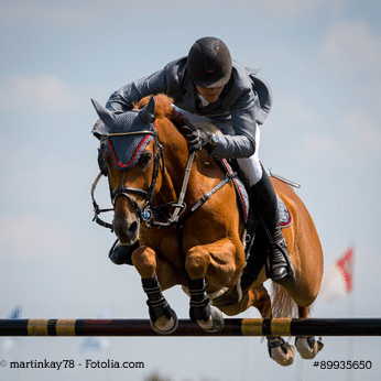 Sicherheitswesten fürs Reiten & Reitschutzwesten