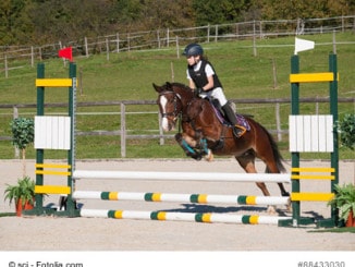 Beim Reiten ist die Sicherheitsreitweste heute in vielen Bereichen Pflicht. Bei einigen Turnieren und an vielen Reitställen dürfen Kinder nicht mehr ohne Schutzweste reiten.