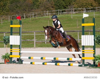 Beim Reiten ist die Sicherheitsreitweste heute in vielen Bereichen Pflicht. Bei einigen Turnieren und an vielen Reitställen dürfen Kinder nicht mehr ohne Schutzweste reiten.