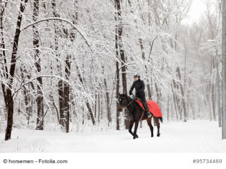 7 tolle Tipps fürs Winterreiten