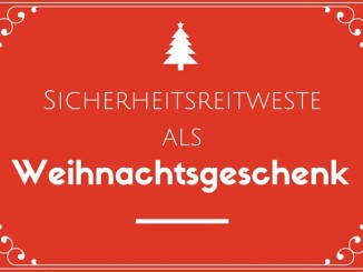 Sicherheitsweste gebraucht kaufen sinnvoll? Vor- u. Nachteile!